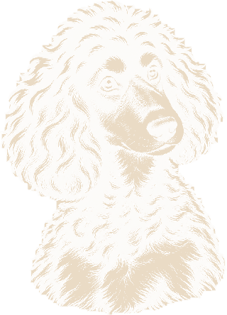 Illustration of Wybie, the dog behind Wybie & Co.
